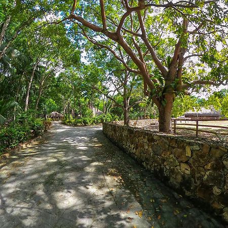 The Mayan Garden Orange Walk Town Экстерьер фото